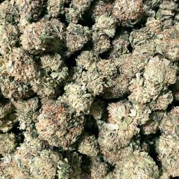 Budget Buds - Purple Kush | Buy Weed Online | Dispensary Near Me