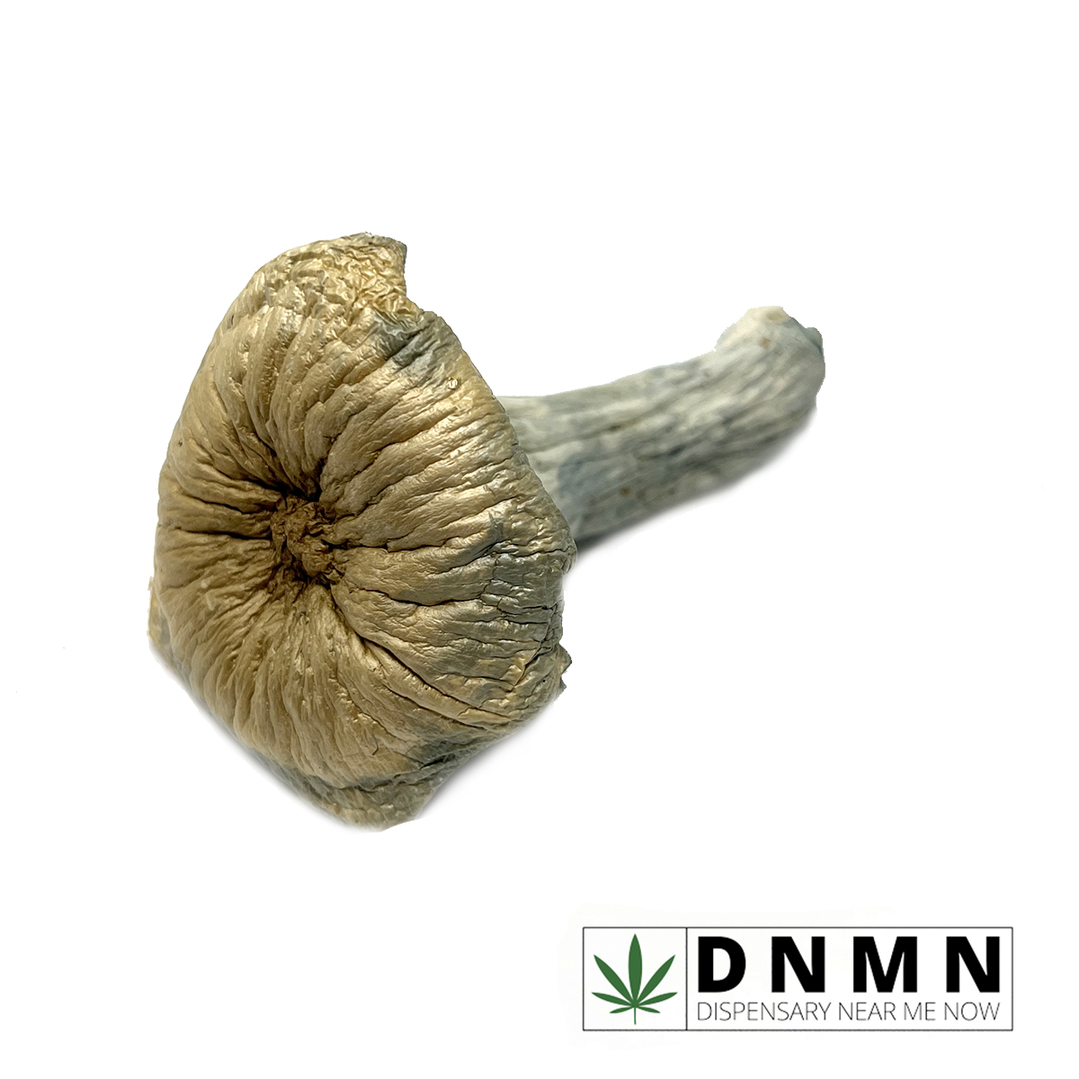Step Penis Envy Magic Mushrooms | Buy Mushroom Online | Dispensary Near Me