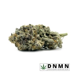 Afghani Drifter Greybeard | Buy Weed Online | Dispensary Near Me