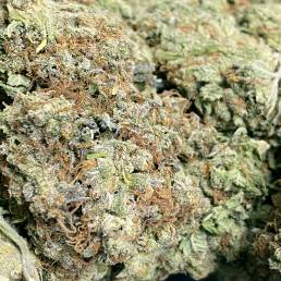 Budget Buds - Red Congolese | Buy Weed Online | Dispensary Near Me