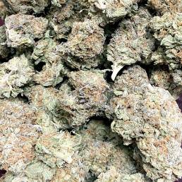 Budget Buds - Pineapple Express | Buy Weed Online | Dispensary Near Me