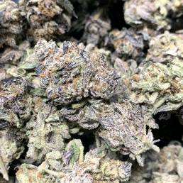 Black Tuna| Buy Weed Online | Dispensary Near Me