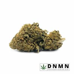 Budget Buds - GMO Cookies | Buy Weed Online | Dispensary Near Me