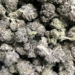 Budget Buds - Grape Crush Wholesale | Buy Weed Online | Dispensary Near Me