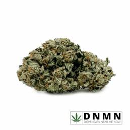 Budget Buds - Purple OG Kush | Buy Weed Online | Dispensary Near Me