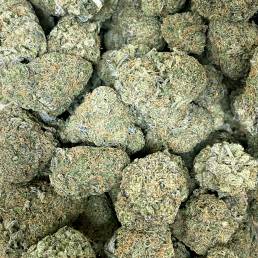 Budget Buds - Grape Ape Wholesale | Buy Weed Online | Dispensary Near Me