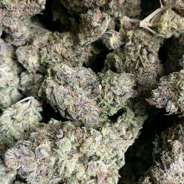 Budget Buds - Cactus Breath | Buy Weed Online | Dispensary Near Me