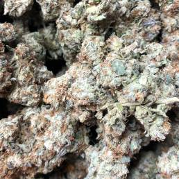Gorilla Breath | Buy Weed Online| Dispensary Near Me