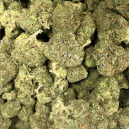 Greasy Bubba |Buy Weed Online | Dispensary Near Me