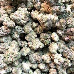 Low Price Bud - Blue Cheese | Buy Weed Online | Dispensary Near Me
