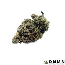 Low Price Bud - Pine Tar Kush | Buy Weed Online| Dispensary Near Me