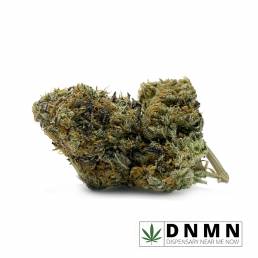 Budget Buds - Meat Breath | Buy Weed Online | Dispensary Near Me