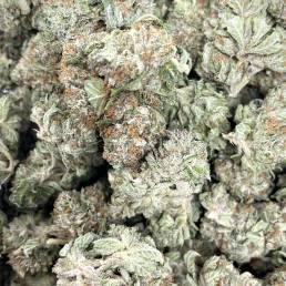 Budget Buds - Tom Ford Bubba Kush | Buy Weed Online | Dispensary Near Me