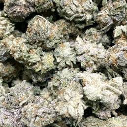 Budget Buds - Blackberry Kush Wholesale | Buy Weed Online | Dispensary Near Me