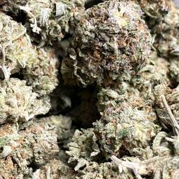 Budget Buds - Gas Mask Wholesale | Buy Weed Online | Dispensary Near Me