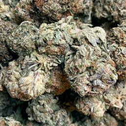Low Price Bud - Rockstar | Buy Weed Online| Dispensary Near Me