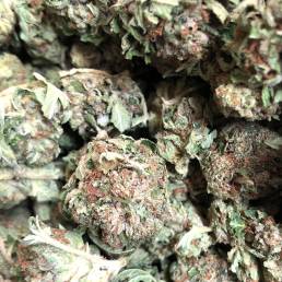 Low Price Bud - Bubba Kush | Buy Weed Online| Dispensary Near Me