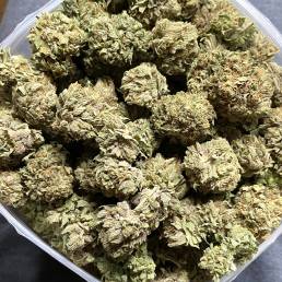 Budget Buds - Pink Panther| Buy Weed Online | Dispensary Near Me