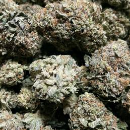 Budget Buds - Purple Kush| Buy Weed Online | Dispensary Near Me