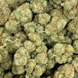 Jack Frost |Buy Weed Online | Dispensary Near Me
