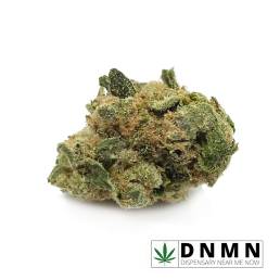 Low Price Bud - Amnesia Haze | Buy Weed Online| Dispensary Near Me