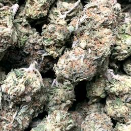 Death Tuna | Buy Weed Online | Dispensary Near Me