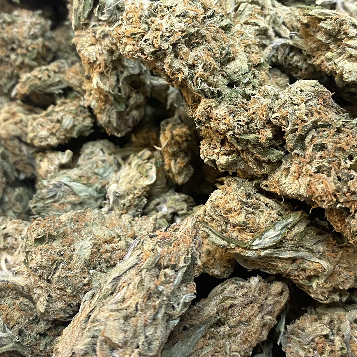 Cotton Candy Kush Buy Weed Weed Dispensary Near Me