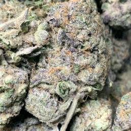 Willy Wonka | Buy Weed Online | Dispensary Near Me