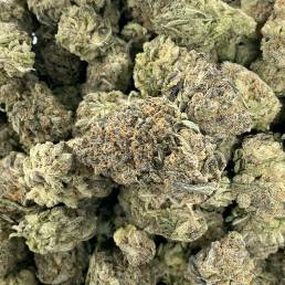 Granddaddy purple 1