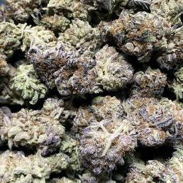 Grizzly Purple Kush | Buy Weed Online| Dispensary Near Me