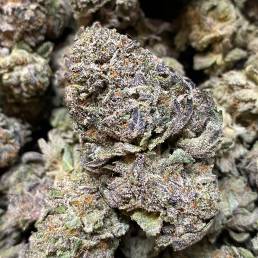 Purple Runtz | Buy Weed Online | Dispensary Near Me