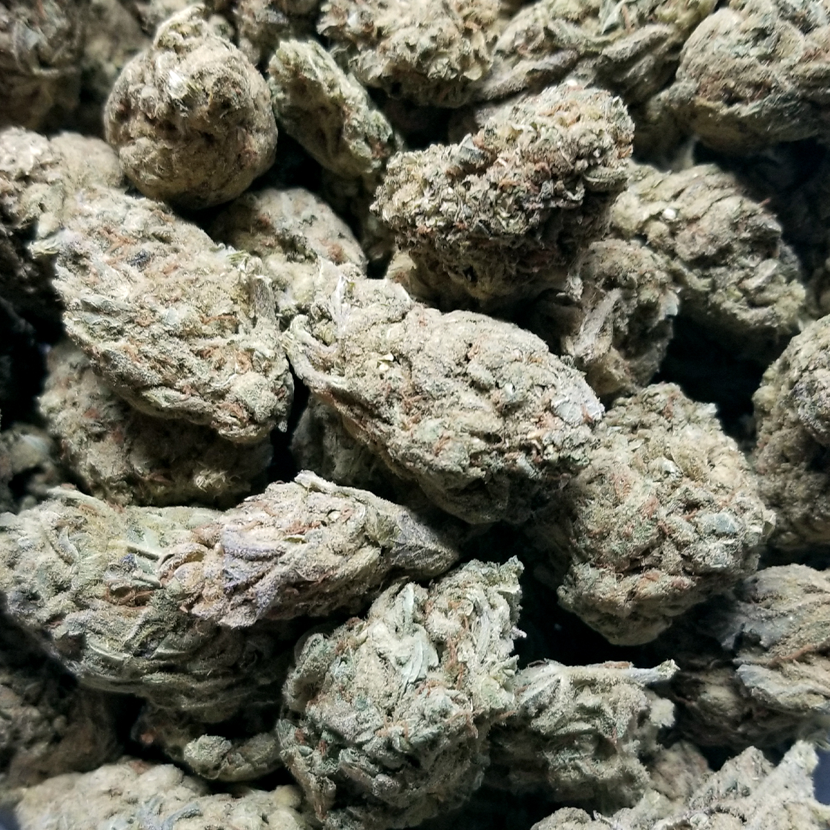 Blueberry Haze Buy Weed Online Dispensary Near Me