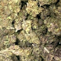 Grape Punch | Buy Weed Online | Dispensary Near Me