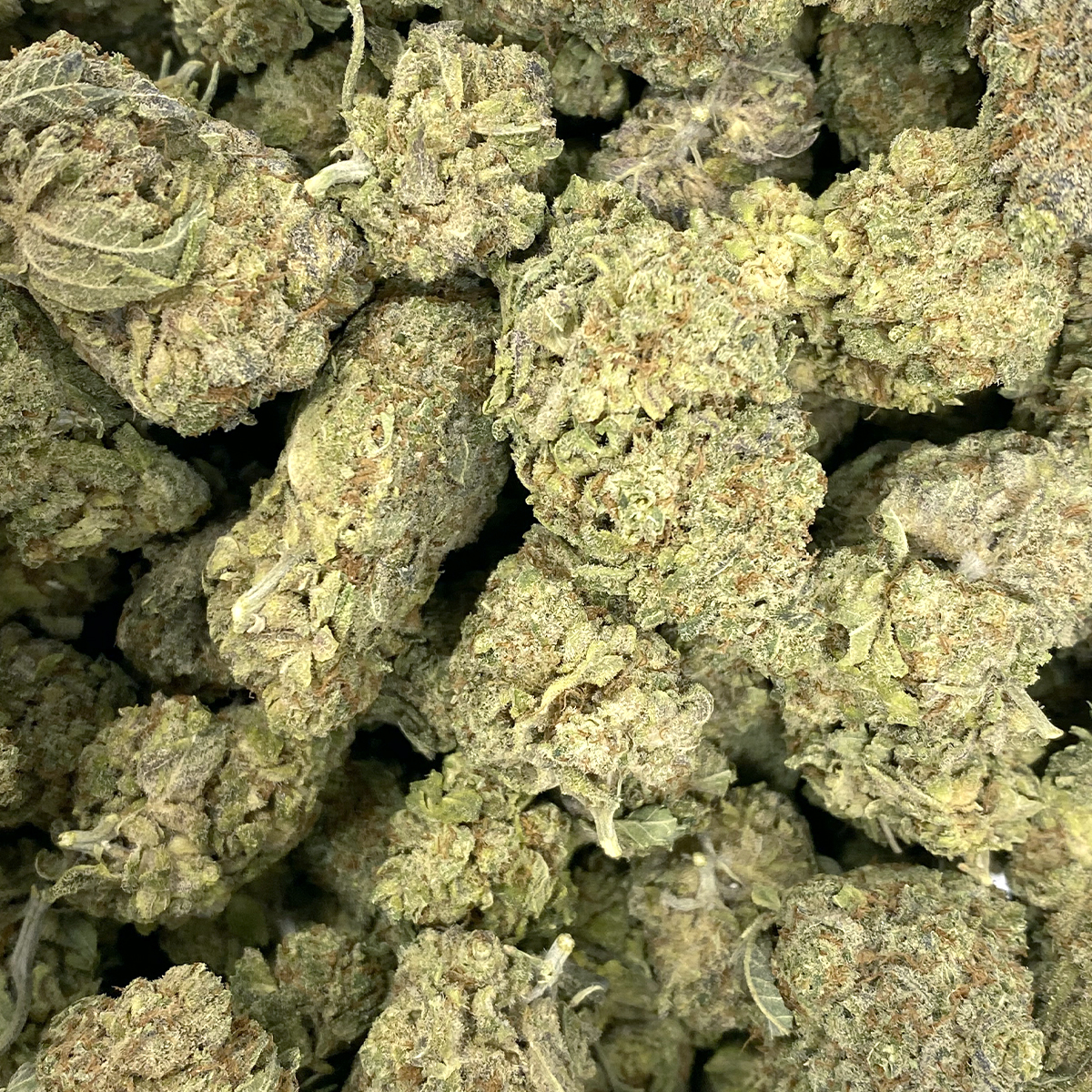 New York Sour Diesel | Buy Weed Online | Dispensary Near Me