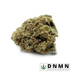 Purple Champagne | Buy Weed Online | Dispensary Near Me