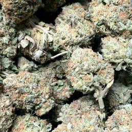 Tangerine Dream |Buy Weed Online | Dispensary Near Me
