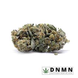 God's Green Crack |Buy Weed Online | Dispensary Near Me