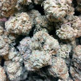 Willy Wonka | Buy Weed Online| Dispensary Near Me