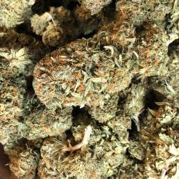 Acapulco Gold | Buy Weed Online| Dispensary Near Me