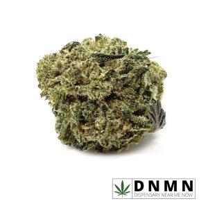 Chocolope | Buy Weed Online | Dispensary Near Me