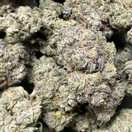 Purple Kush | Buy Weed Online | Dispensary Near Me
