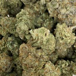 Snow White | Buy Weed Online | Dispensary Near Me