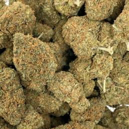 Super Sour Kush | Buy Weed Online | Dispensary Near Me