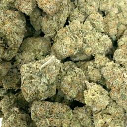 Cake Breath| Buy Weed Online | Dispensary Near Me