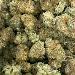 Candyland | Buy Weed Online | Dispensary Near Me