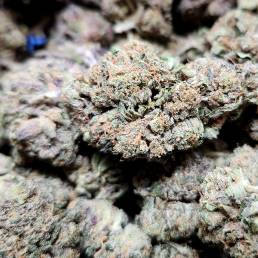 Grape Punch | Buy Weed Online| Dispensary Near Me