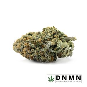 Paco Taco | Buy Weed Online | Dispensary Near Me