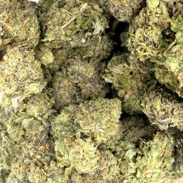 Purple Mcrupp | Buy Weed Online | Dispensary Near Me