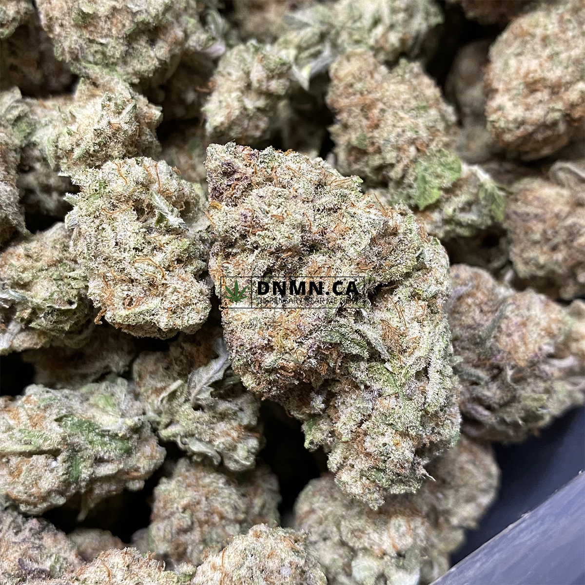 Burning Duke - Online Dispensary Canada - Dispensary Near Me Now