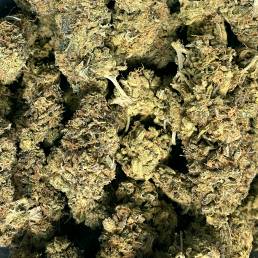 California Bubba | Buy Weed Online| Dispensary Near Me